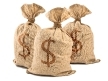 cash bags